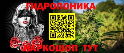 гидра Будённовск