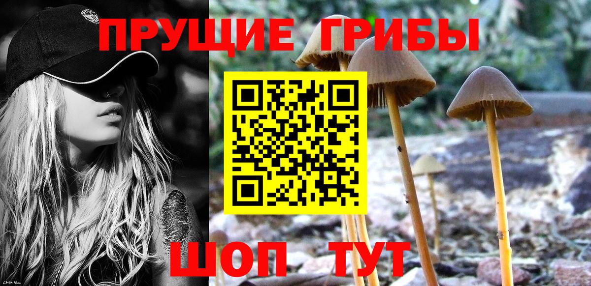 Кострома  Галлюциногенные грибы Magic Shrooms  Галлюциногенные грибы Psilocybe  Вход с VPN 